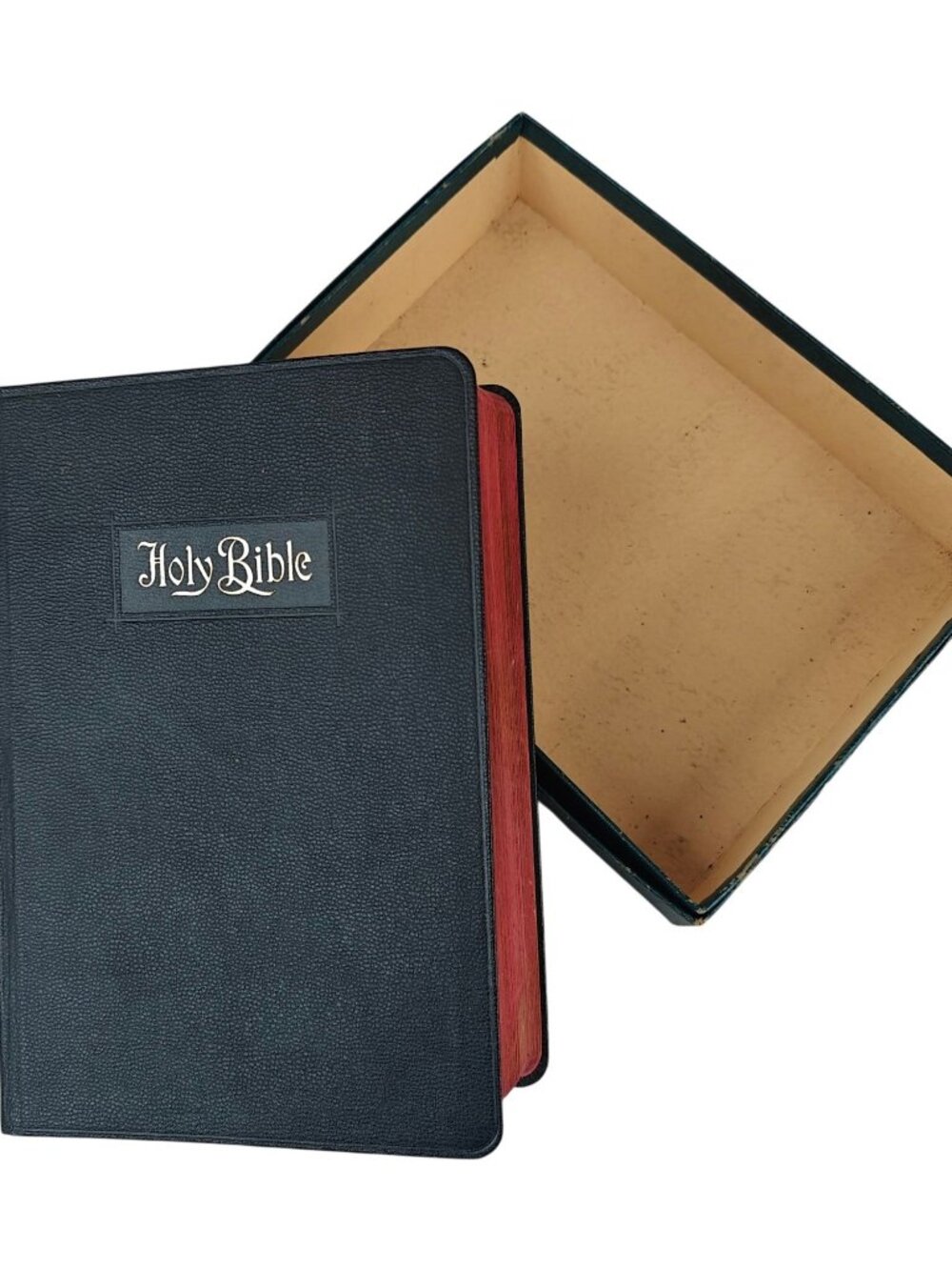 Holy Bible Douay Version Illustrated Catholic Edition P.J. Kenedy & Sons